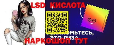 PSILOCYBIN Заволжье